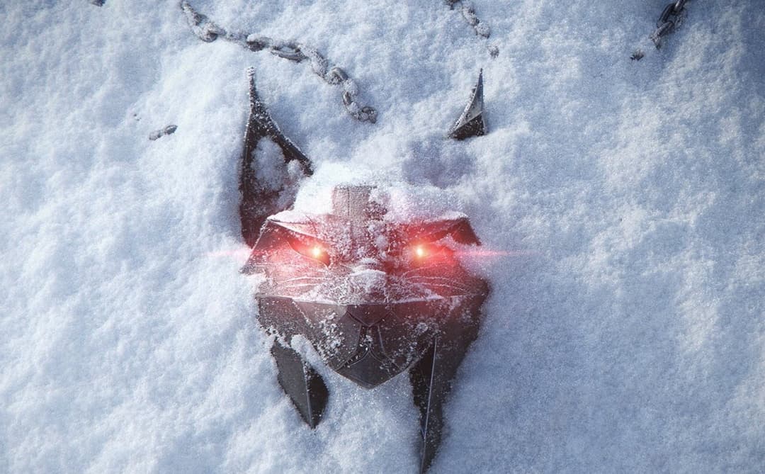 The Witcher