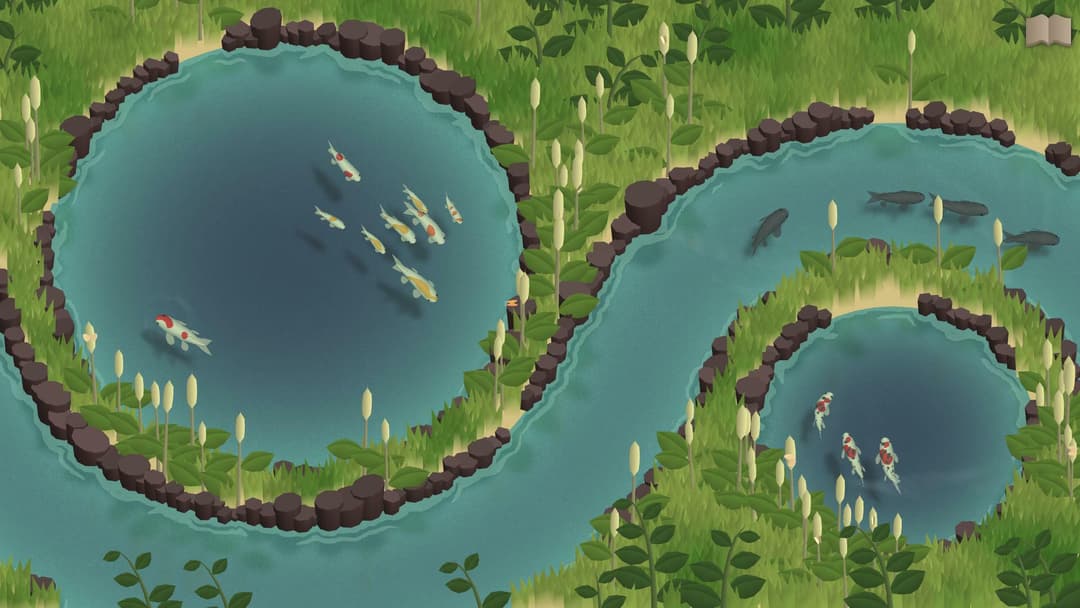 Koi Farm