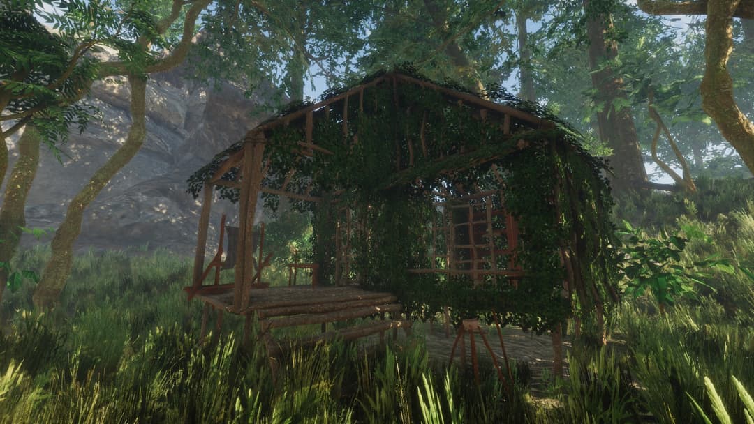 Forest