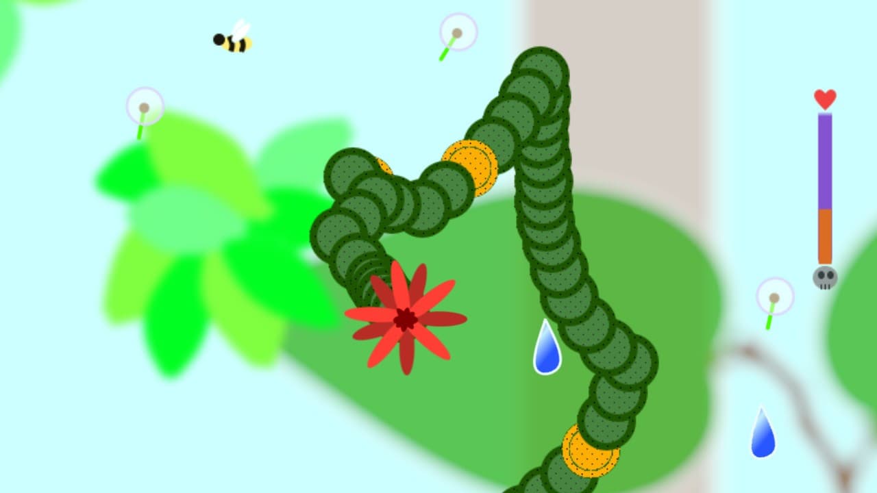 Plants