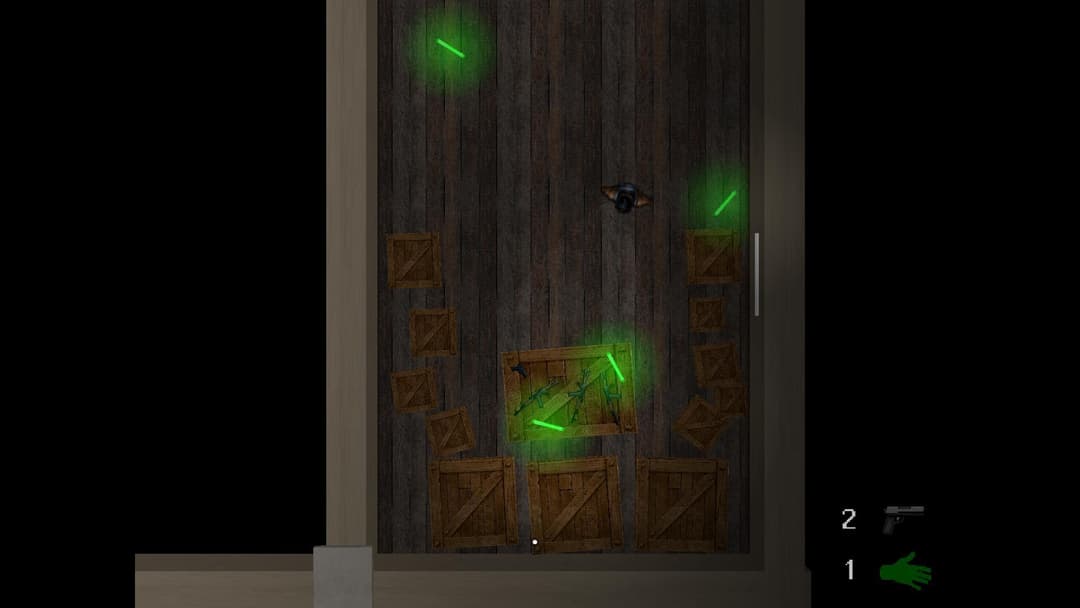 The Witness