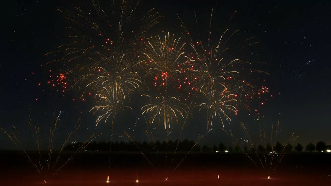 FWsim - Fireworks Display Simulator