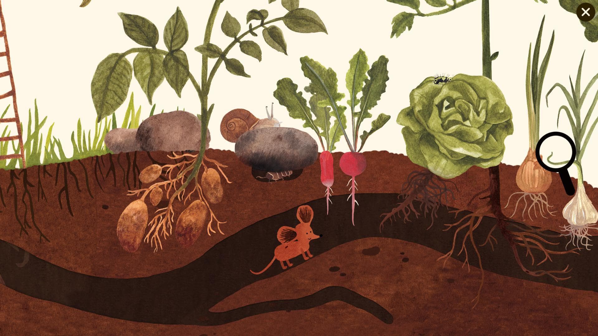 Little Mouse's Encyclopedia