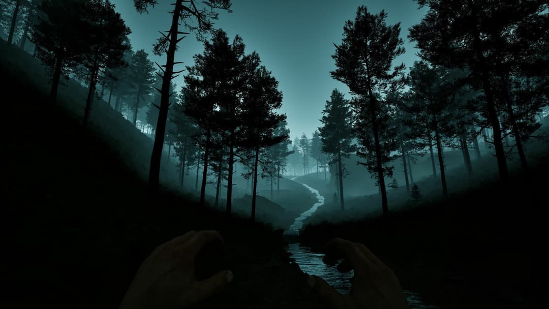 Dark Realms: Mysteries of Hoia Baciu Forest