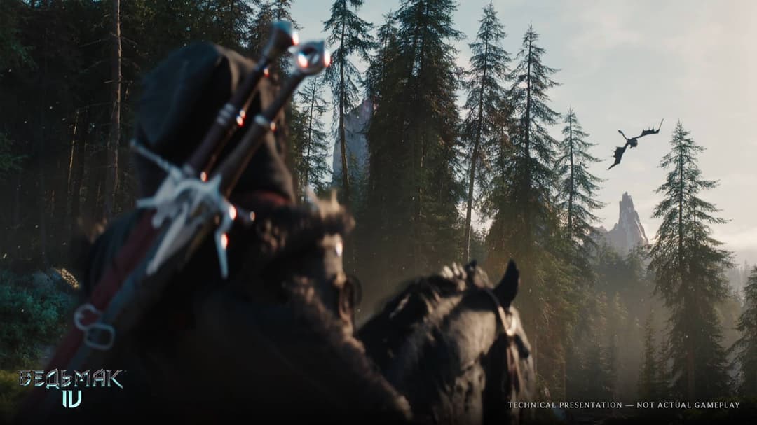 The Witcher