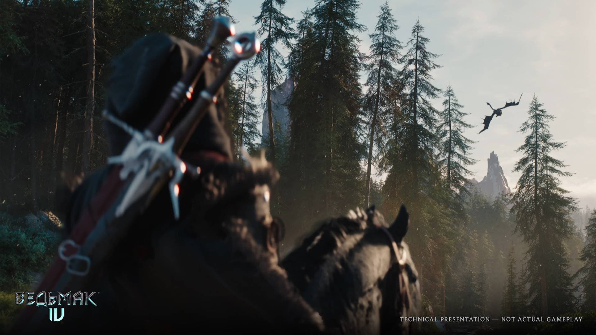 The Witcher