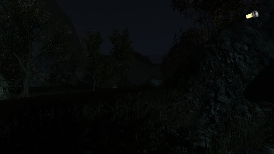 The Secret of Pineview Forest