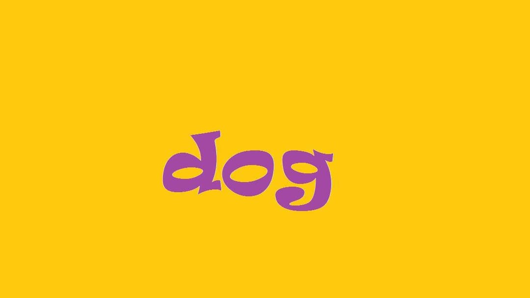 dog