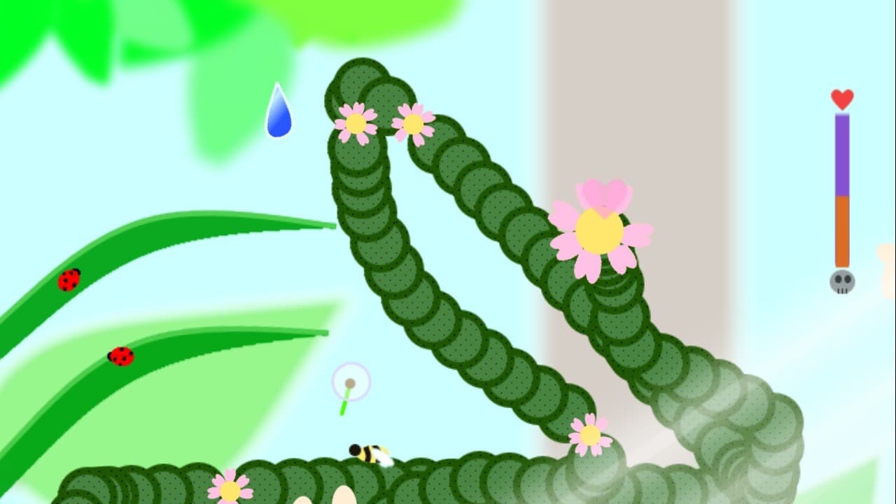 Plants
