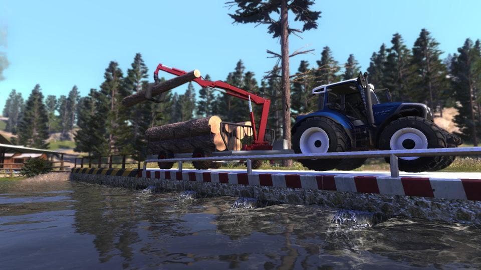 Lumberjack's Dynasty