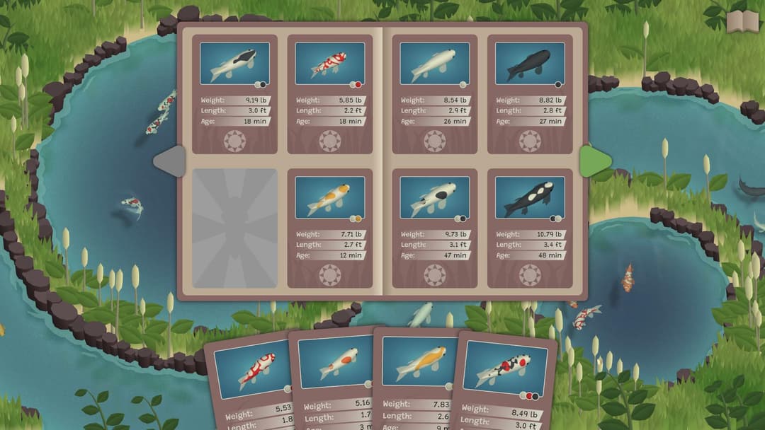 Koi Farm