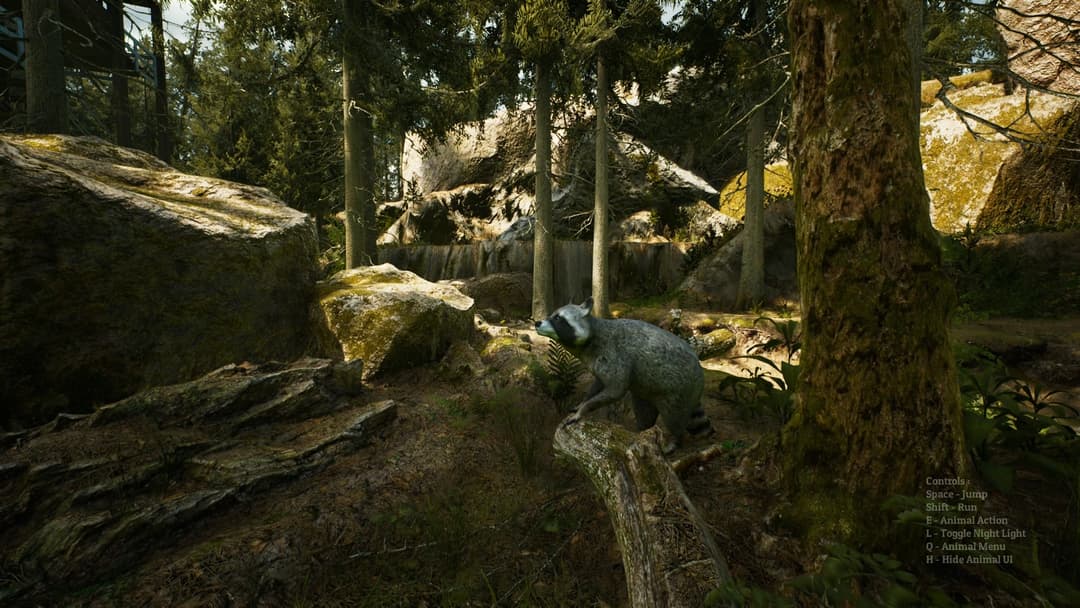 Morels: The Hunt