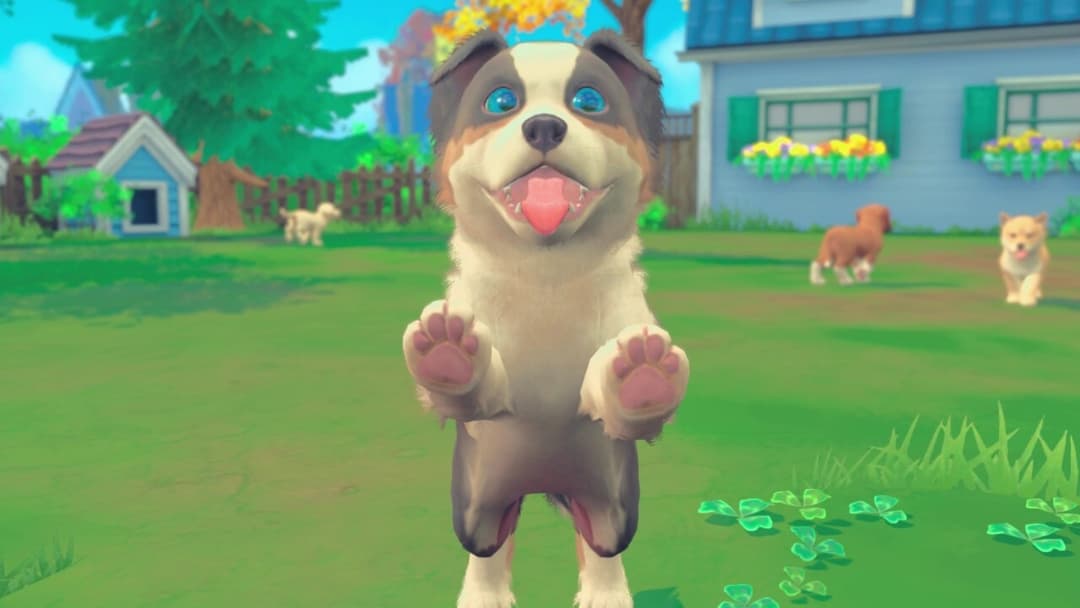 My Universe - Puppies & Kittens
