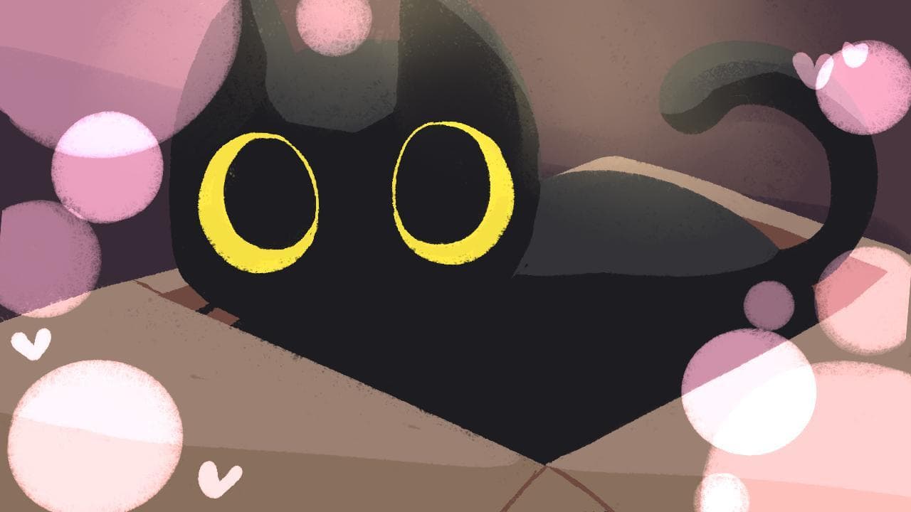 Bean