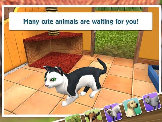 PetWorld: Premium