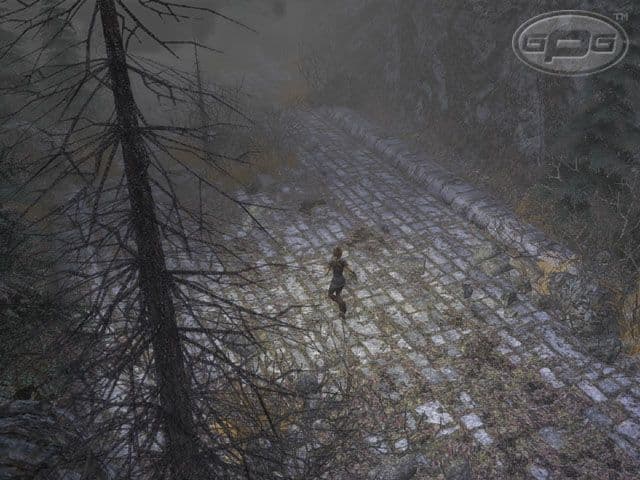 Dungeon Siege 2