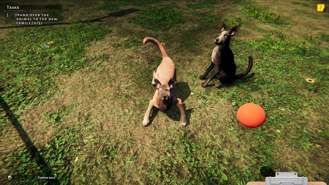 Animal Shelter: Prologue