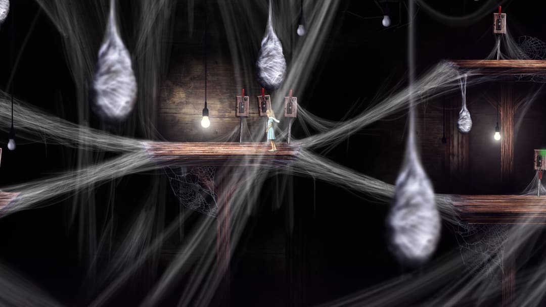 Lucid Dream