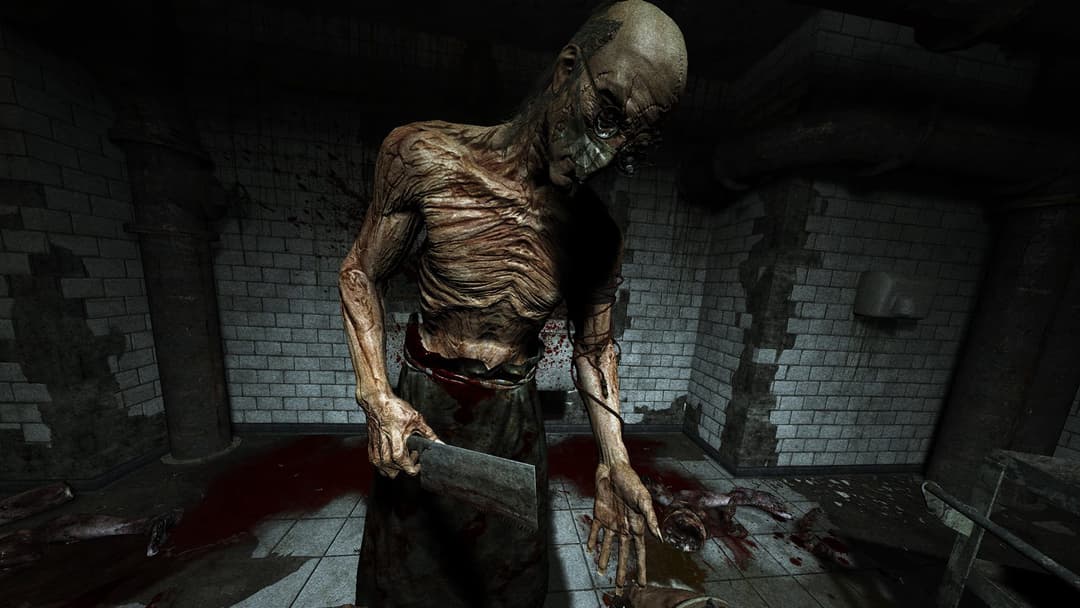 Outlast: Trinity