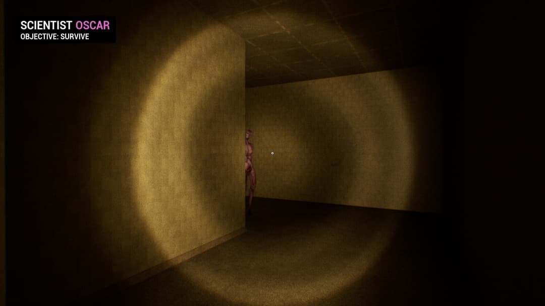 BACKROOMS: APPREHENSION