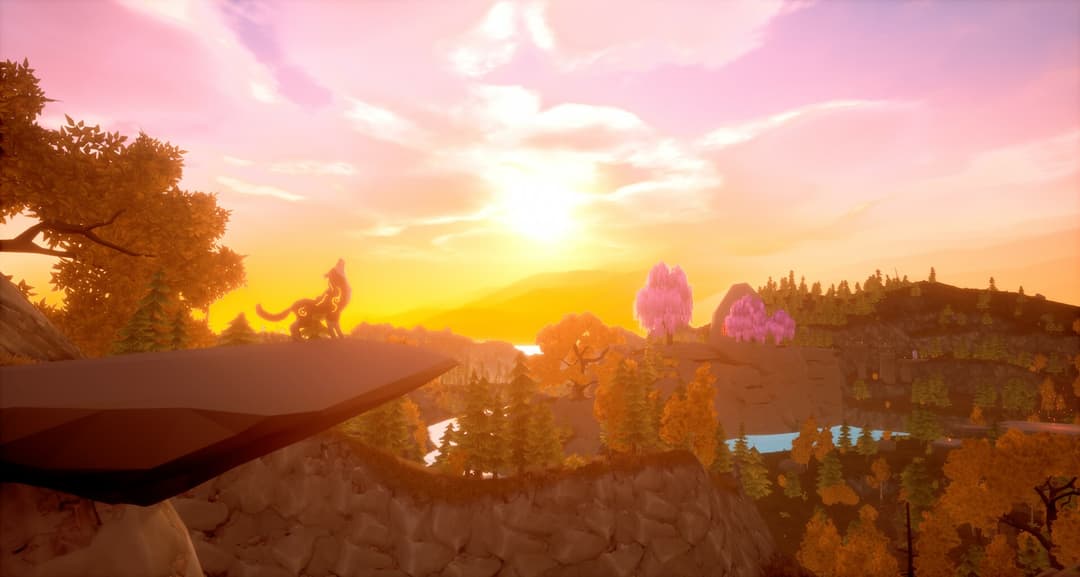 Paws and Soul: First Step