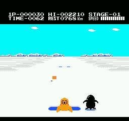 Antarctic Adventure