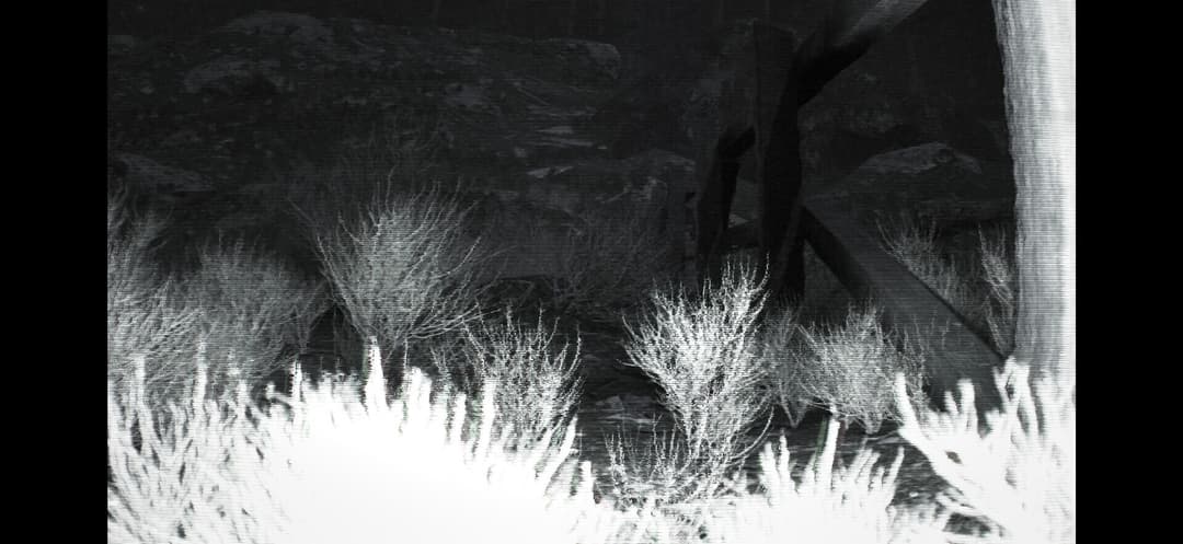 TRAILCAM