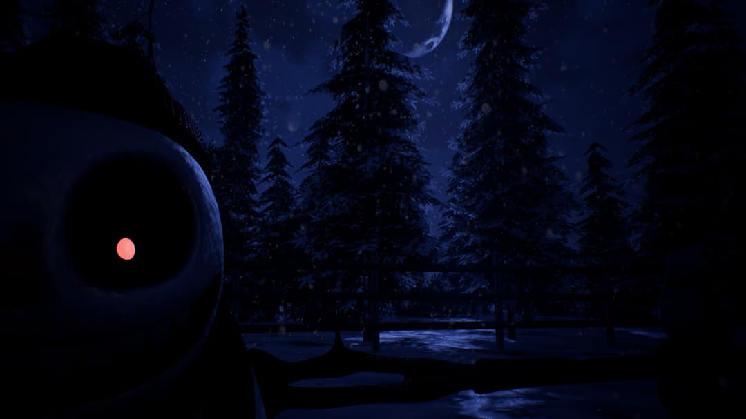 Frosty Nights