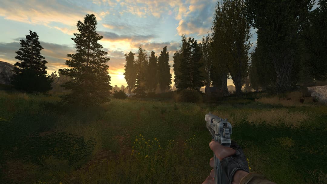 S.T.A.L.K.E.R.: Lost Alpha