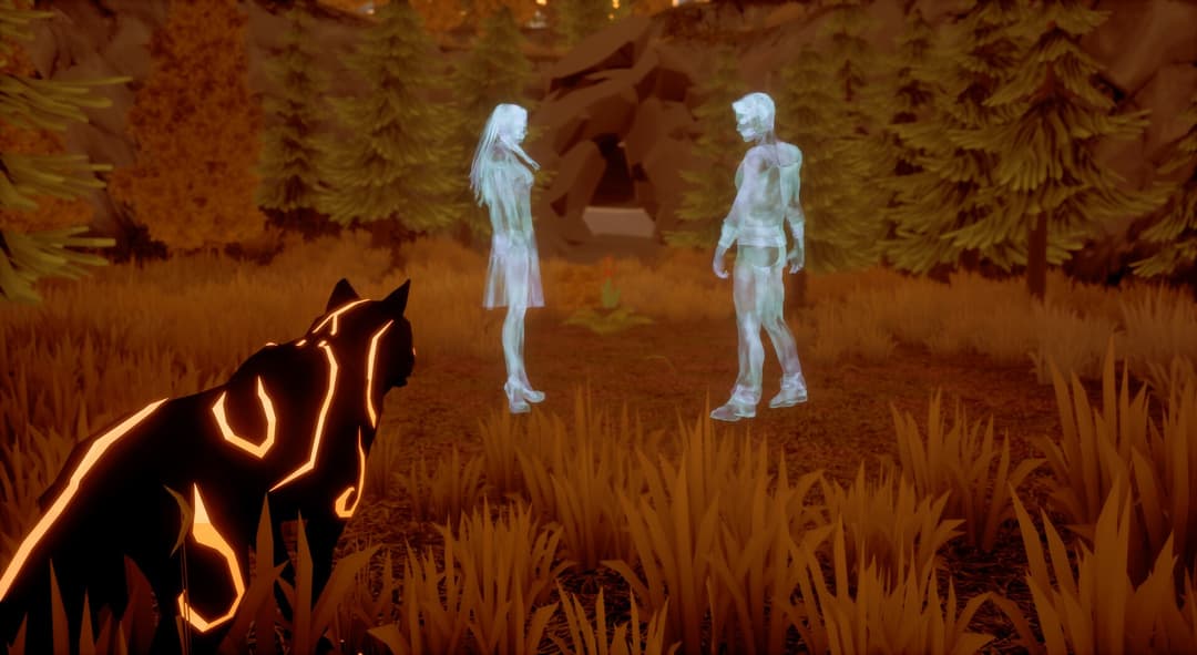 Paws and Soul: First Step