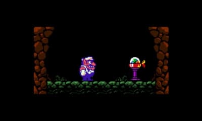 Wario Land 3