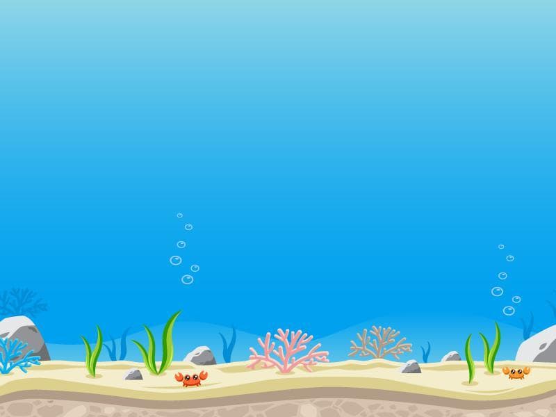 Under the sea