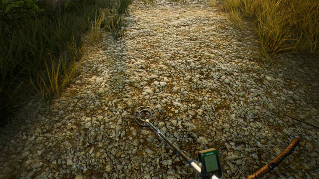 Treasure Hunter