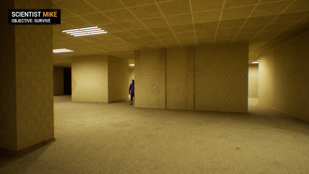 BACKROOMS: APPREHENSION