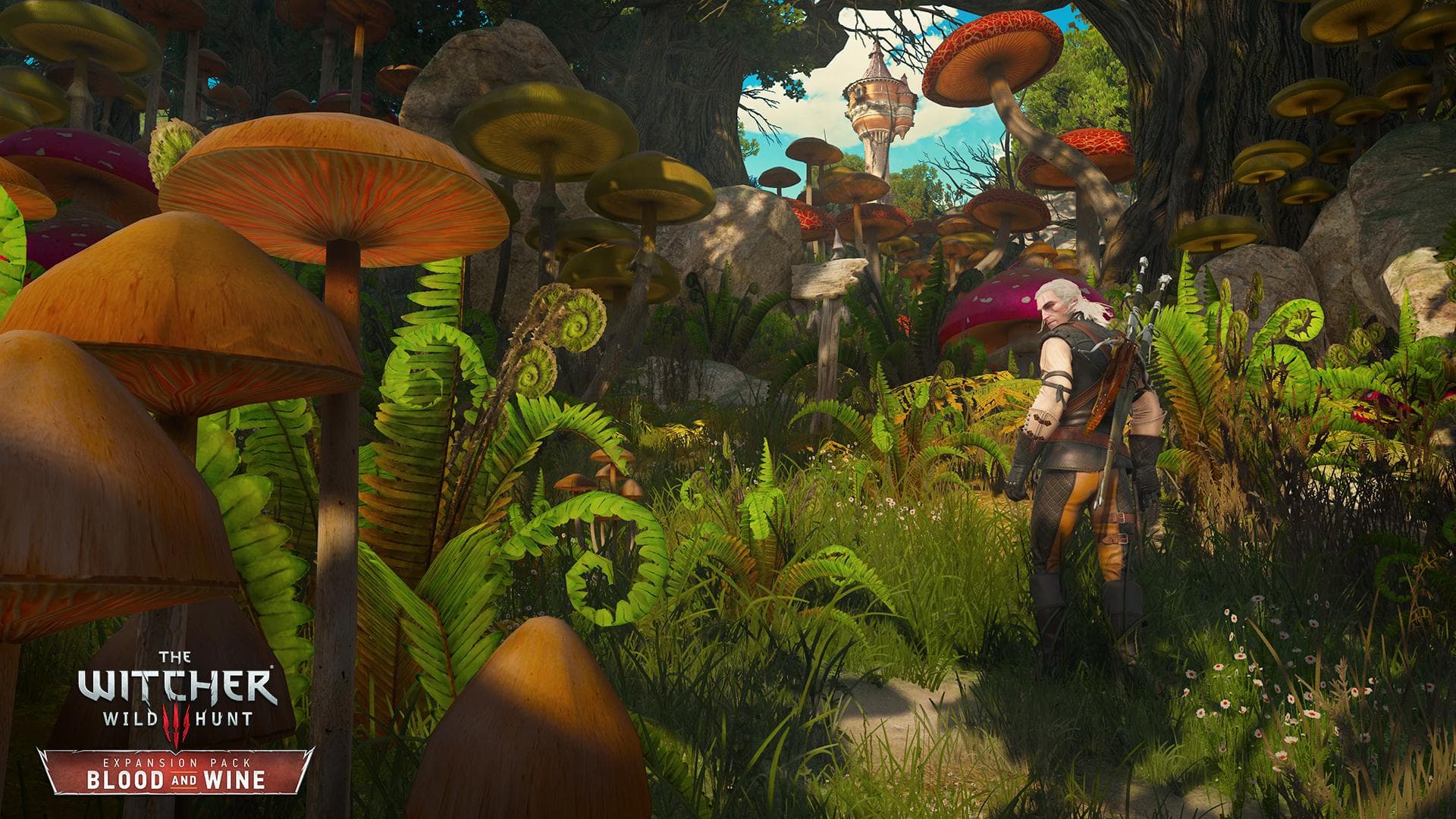 The Witcher 3: Wild Hunt – Blood and Wine