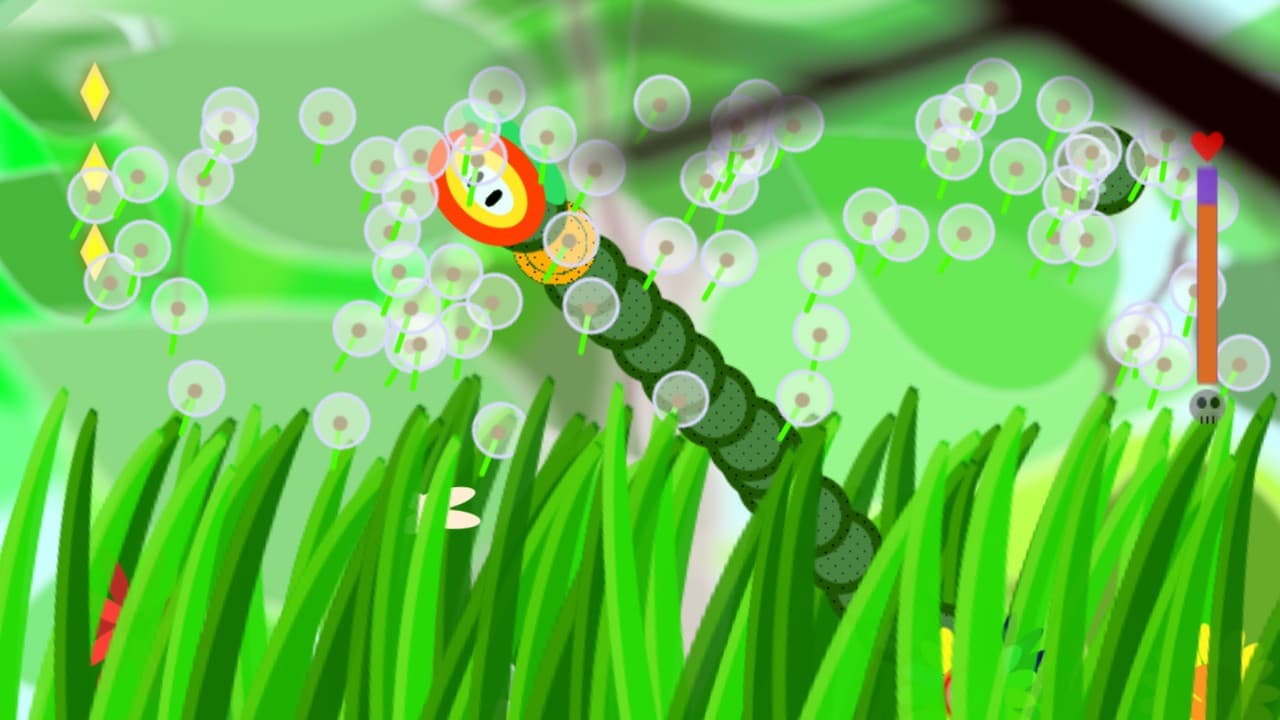 Plants
