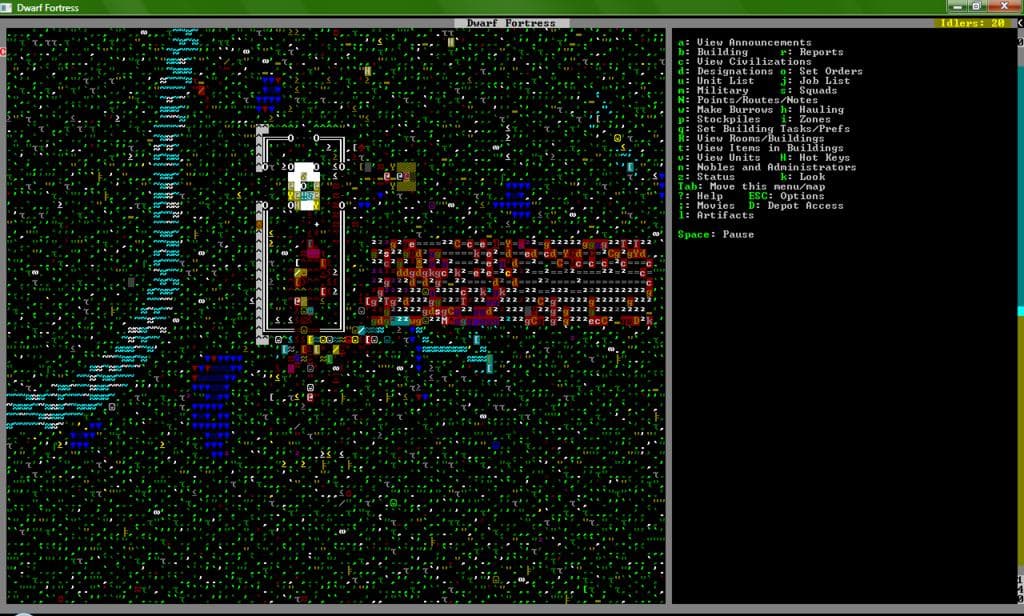 Dwarf Fortress