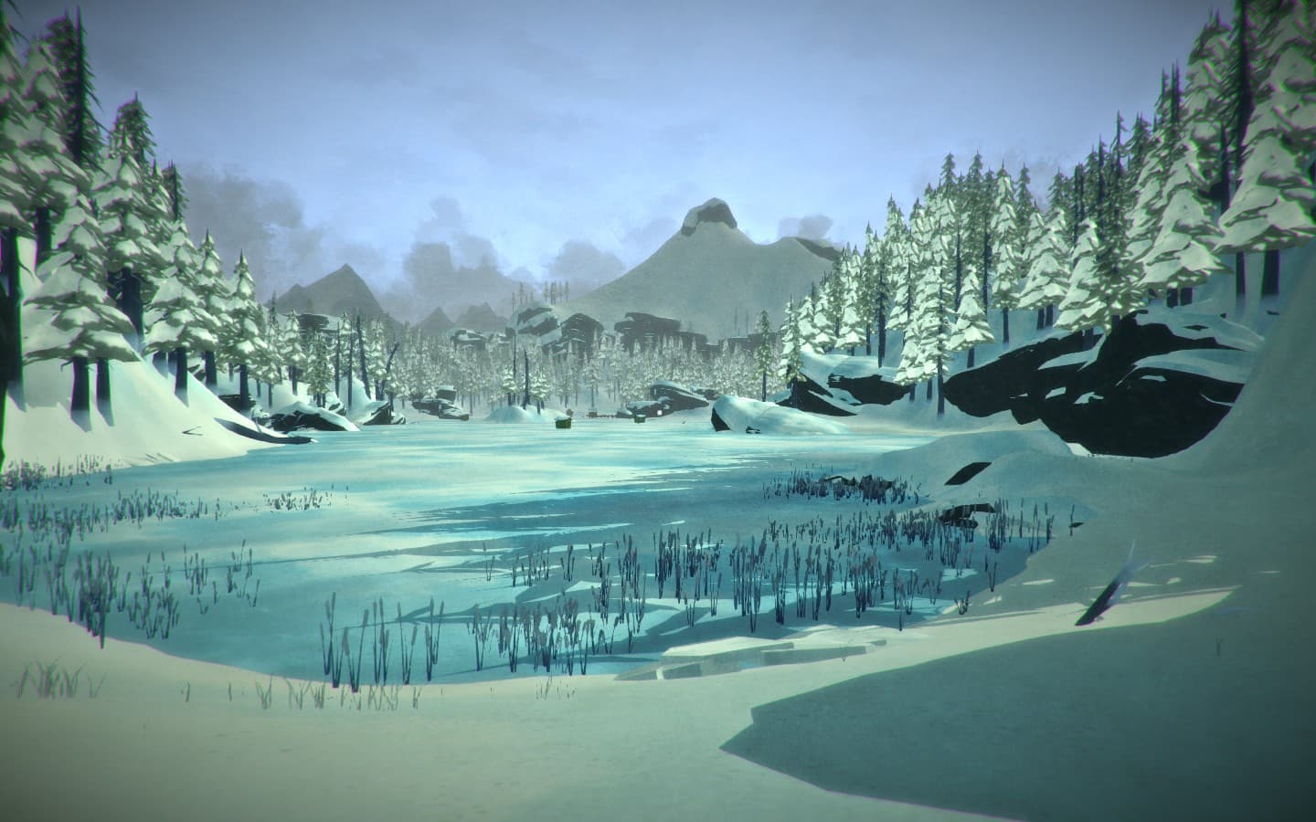 The Long Dark