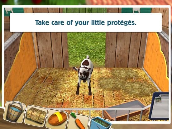 PetWorld: Premium