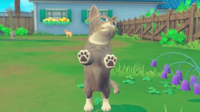 My Universe - Puppies & Kittens