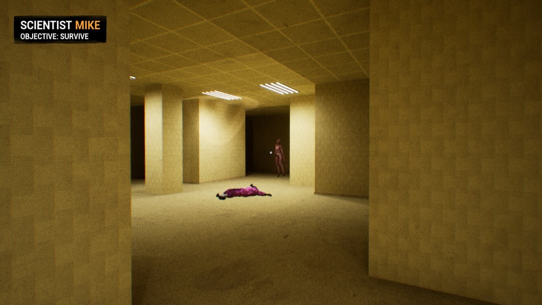 BACKROOMS: APPREHENSION