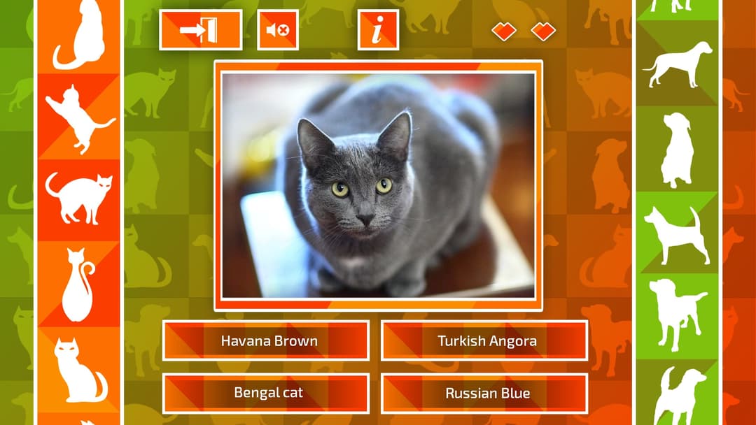 JQ: dogs & cats
