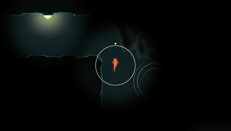 KOI