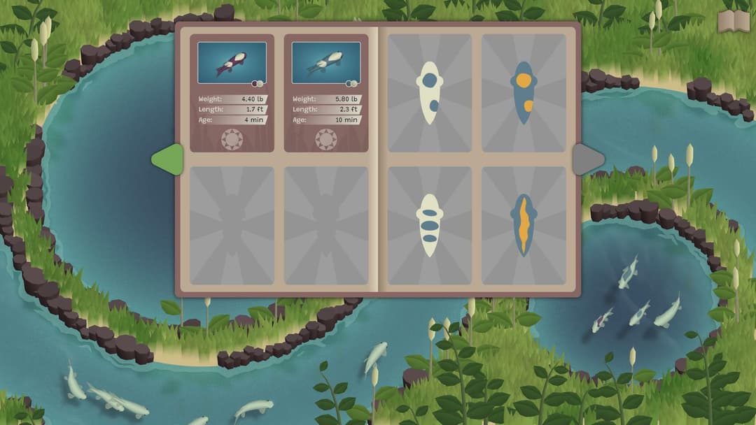 Koi Farm