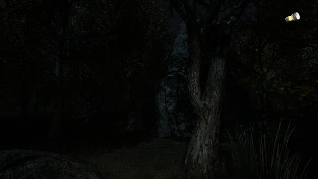 The Secret of Pineview Forest