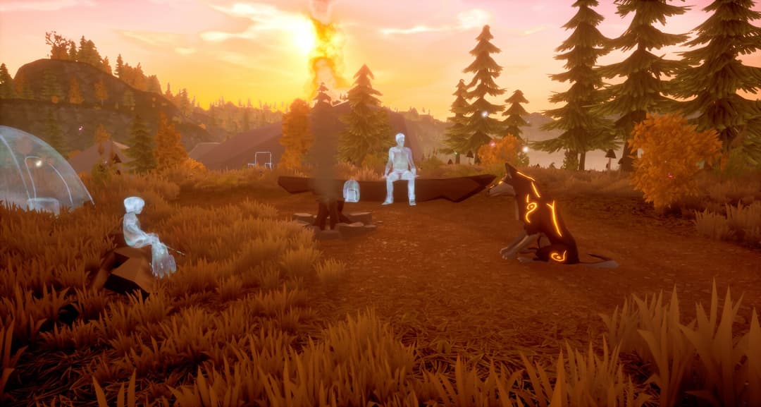 Paws and Soul: First Step