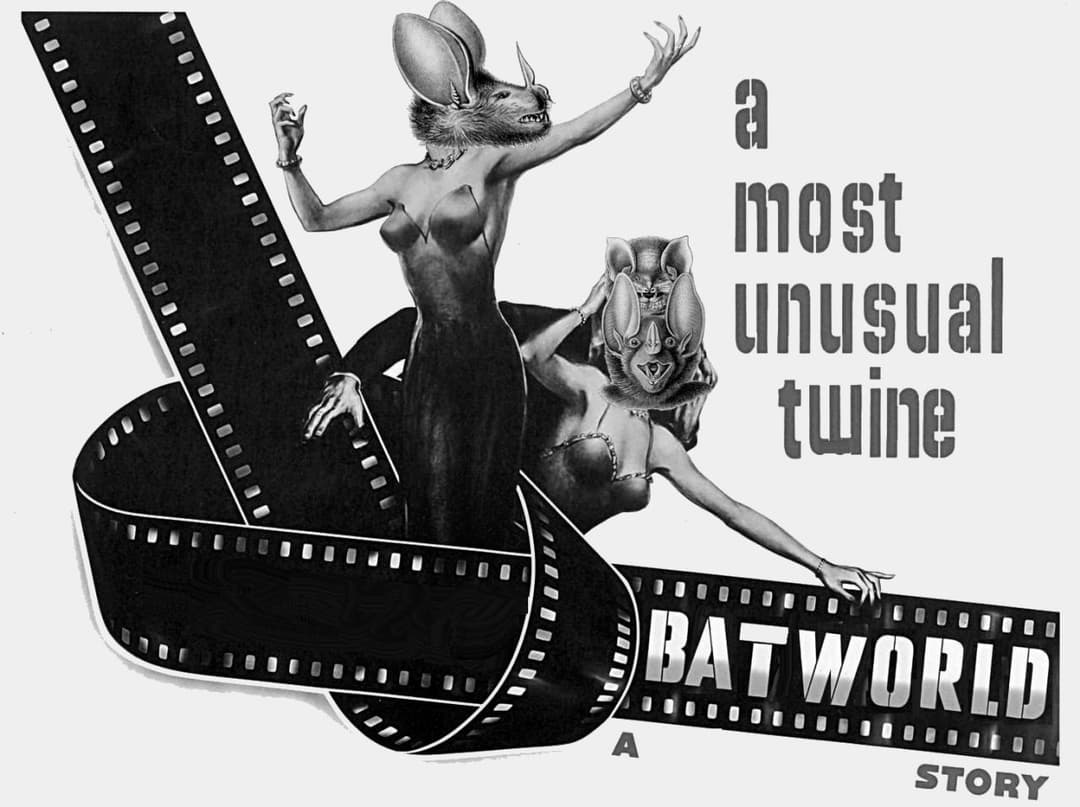 ^. BATWORLD .^