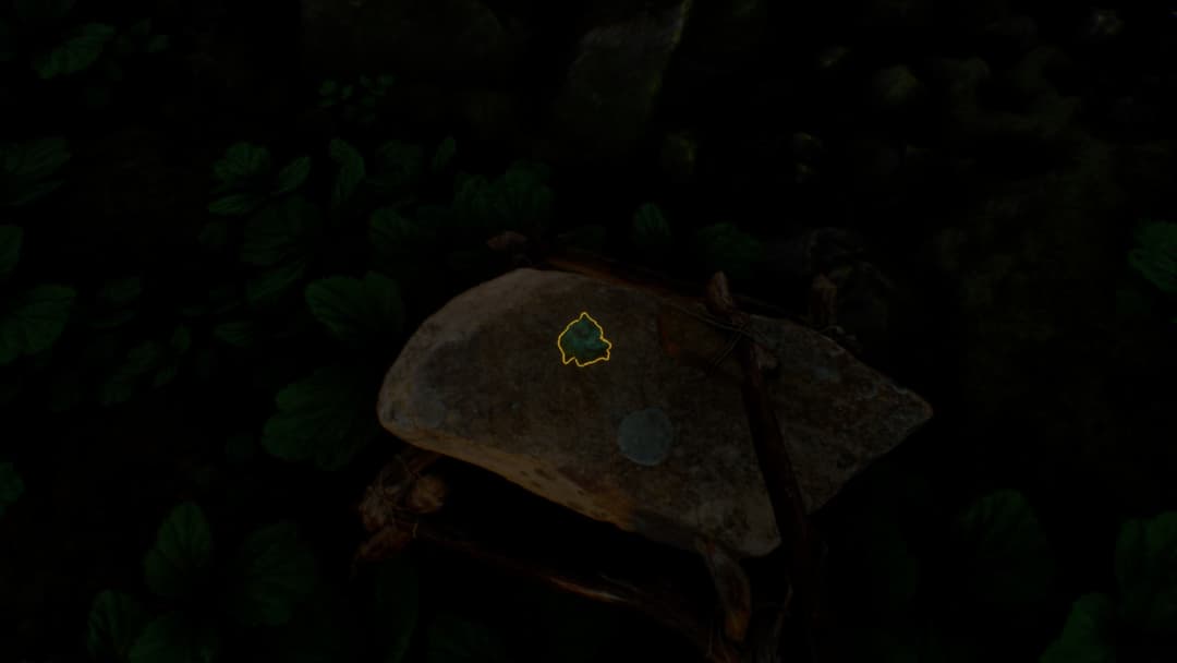 Journey Of Life