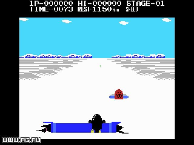 Antarctic Adventure