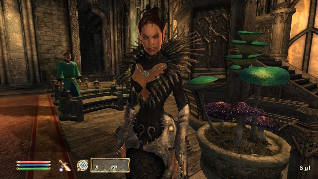 The Elder Scrolls 4: Shivering Isles